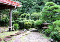 �����C���[�W